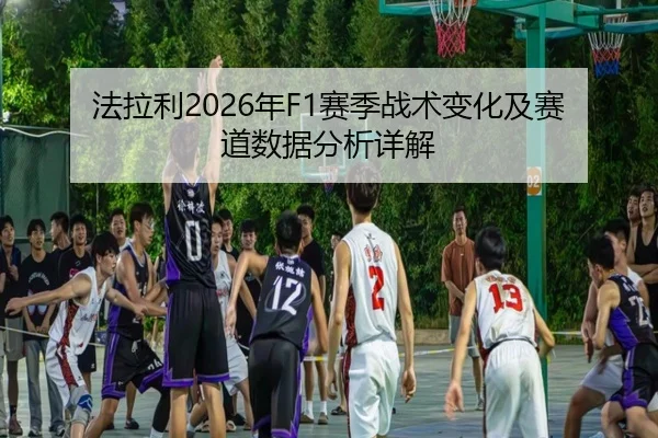 fa-la-li-nian-sai-ji-zhan-shu-bian-hua-ji-sai-dao-shu-ju-fen-xi-xiang-jie-2-428.jpg